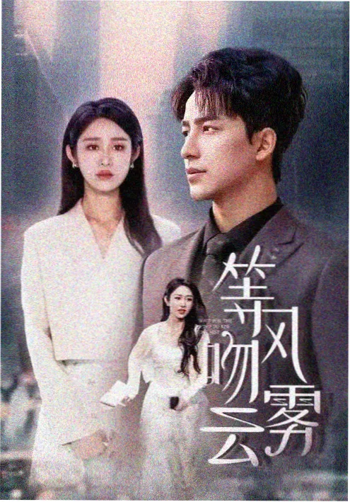 雾港迷局 高清影视在线观看